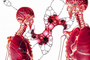 Работа сердца при аэробных нагрузках